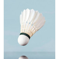 Shuttlecocks Yonex