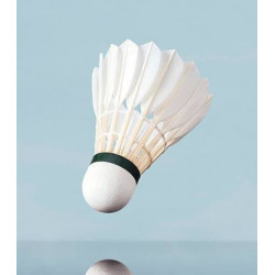 Shuttlecocks Yonex