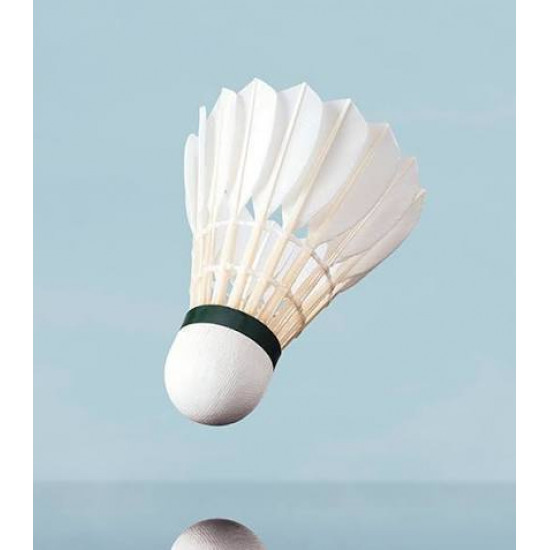Shuttlecocks Yonex