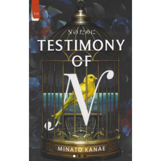TESTIMONY OF N
